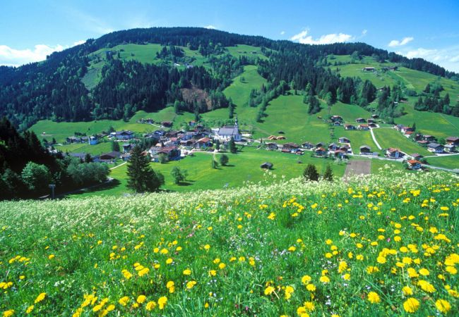 Wildschönau - Urlaub im Herzen Tirols